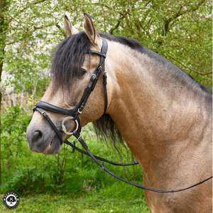 Bride flash anatomique héritage Rênes au toucher doux incluses en cuir de cheval de forme anatomique - Product Image 6