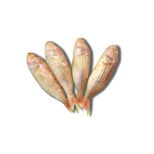 Pez Congelado al por Mayor: Pargo de Aleta Redonda Entero Congelado - Product Image 1