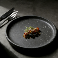 Assiette Ronde en Mélamine Mate Réutilisable et Incassable pour la Restauration et la Maison – Vaisselle de Luxe