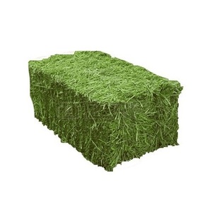 Mélange de foin d'alfalfa - 50/50 - Qualité A - Aliment pour chevaux et bovins - Product Image 2