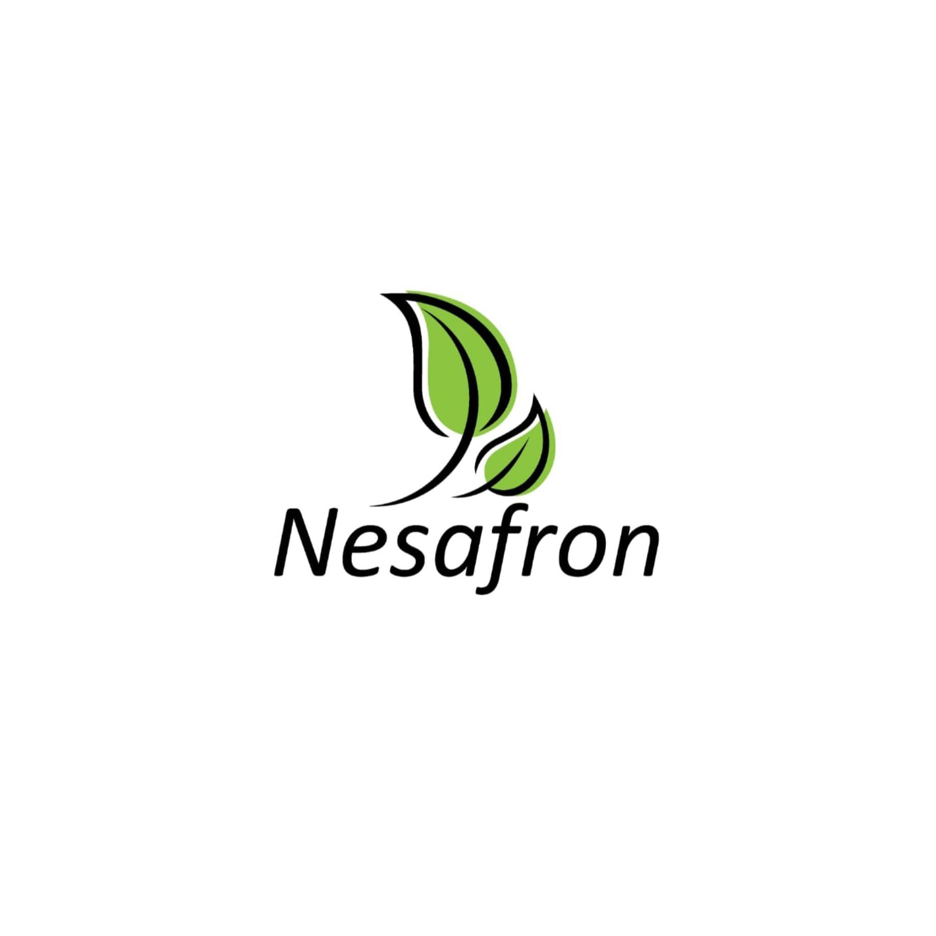 Nesafron Gmbh logo