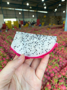 Fruta de dragón vietnamita fresca de la granja con fruta de fuego y frescura entregada directamente - Product Image 2