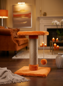 High-quality Amistar Pumpkin Delight <b>cat</b> scratcher for <b>cats</b> of all breeds and sizes. - Product Image 5