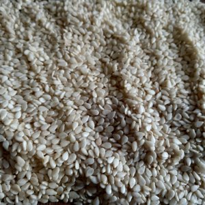 Graines de sésame décortiquées 99.5% Grade Eco Export Brand 25/50kg PP Bags - Product Image 5