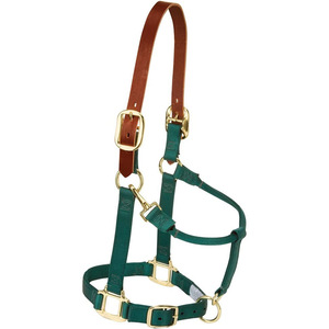 Rainbow Nylon Inglés Saddle Style Horse Racing Halter Elegante Equipo de equitación Venta al por mayor - Product Image 2