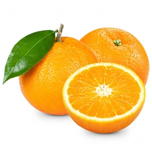 Oranges, Tangerines et Mandarines Fraîches à Prix Abordable en Vente |   Citrus de qualité supérieure à bas prix - Product Image 4