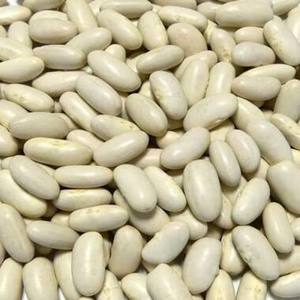 Haricots blancs séchés, type japonais/type espagnol/blanc marine/haricots blancs, bonne qualité, prix bas, en vente - Product Image 1