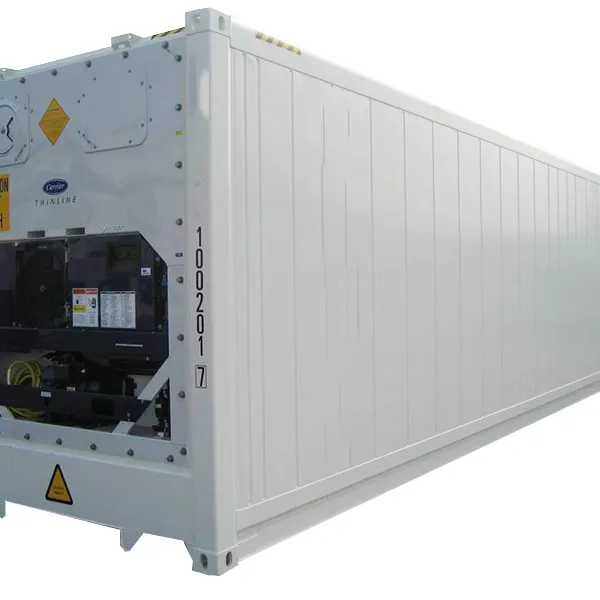 New and Used Reefer/Refrigerated Shipping Containers for Sale in the EU - UK!!!Buying & Renting Purposes