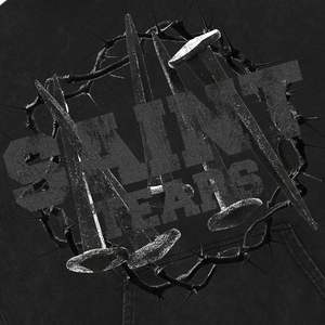 Opulent surdimensionné lettre graphique sweats à capuche intemporel Y2K sweat luxueux coton lourd mode Streetwear à capuche - Product Image 5