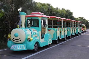 Trenino turistico per visite turistiche, vagoni elettrici di alta qualità per parchi divertimento in vendita - Product Image 6
