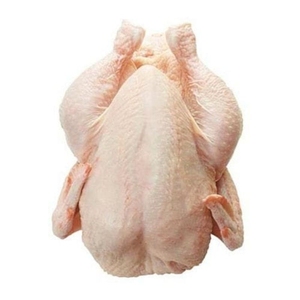 Fournisseur premium Viande de poulet entière corporelle halal congelée faible en sel nutritive transformée de Belgique - Product Image 5
