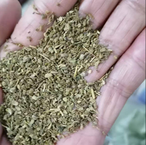 เมล็ดพันธุ์แครอทไฮบริดขายส่ง คุณภาพพรีเมียม เกรดอาหาร ยี่ห้อ GTSA อายุการเก็บรักษา 12-18 เดือน - Product Image 2