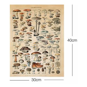 Impresión artística de los hongos de Adolphe Millot, diseño de naturaleza muerta en papel - Product Image 4