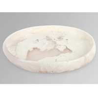 Assiettes et plats en résine au design de dinosaure, forme ronde, motif personnalisé, moderne, passe au lave-vaisselle, plat de service pour aliments