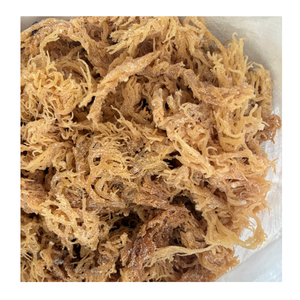 Algues irlandaises sauvages de bonne qualité sans sel directement collectées de l'océan du Vietnam Prix de vente entier - Product Image 4