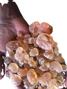 Gomme arabique d'acacia pure et biologique de qualité supérieure, Hashab provenant directement du Sénégal Produit agricole - Product Image 2