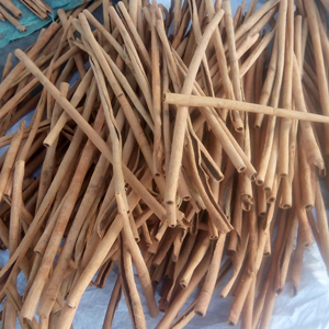 Canela en barra vietnamita de alta calidad y bajo costo de la empresa Bao Tram Anh - Product Image 1
