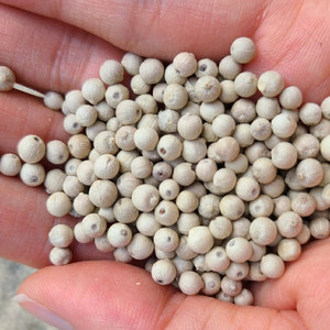 Pimienta blanca de calidad superior seca 100% natural con estándar de exportación - Product Image 5