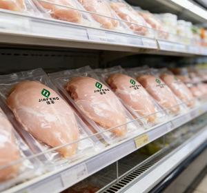 อกไก่แช่แข็งแบบเป็นชิ้นใหญ่สำหรับร้านอาหารและผู้นำเข้า - Product Image 1