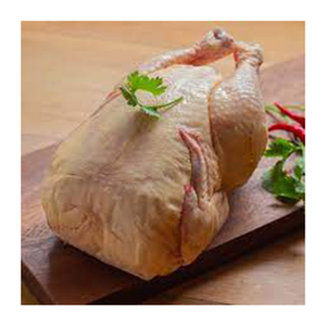 Poulet entier congelé de haute qualité Fabricant de gros Nouveau meilleur matériel avec des prix bas - Product Image 4