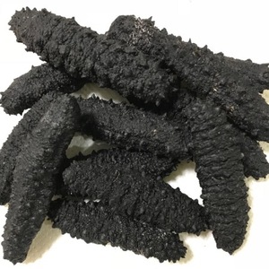 Sun Dried Nutritious Mexican Sea Cucumber/ Fresh Sea Cucumber Global Suppliers - Product Image 4