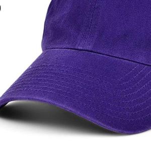 Casquette de baseball professionnelle de haute qualité, 6 panneaux, imperméable, imprimé animal, décoration perlée, style image, casquette de sport pour usage quotidien - Product Image 4