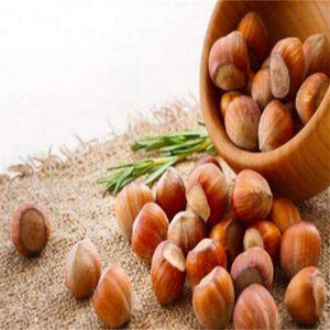 Noix de hêtre biologiques crues séchées de qualité supérieure, grade A, en vrac, pour l'alimentation, à vendre - Product Image 1