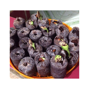 Best Price for Wholesale Coco Peat Pellet for Growing Plants Coco Coir Pellet Fiber Soil for Planting, Coco Peat <b>Discs</b> For Sales - Product Image 5