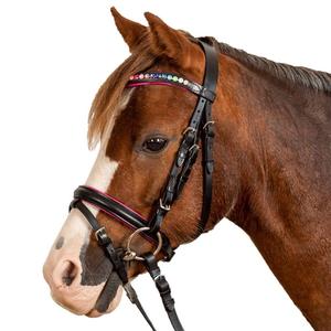 Brida Horse Mini Shetland Inhand Leather Show con rienda de plomo en negro o marrón - Product Image 3