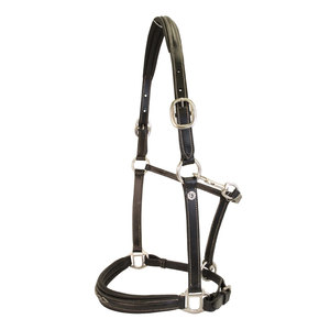 Équipements d'équitation en cuir professionnels pour chevaux, quantité en vrac, prix bas, fabriqués au Pakistan, licols en cuir pour chevaux - Product Image 5