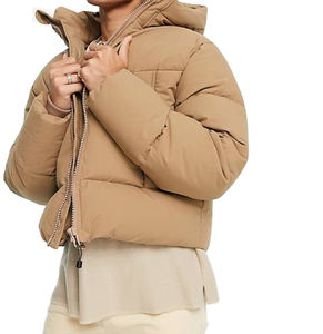 Blouson Bomber Homme Hiver Extérieur Luxe Marque Haute Couture Personnalisé Coupe-Vent Imperméable à Capuche Épais Toile Polyester Service OEM - Product Image 3
