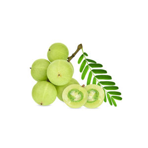 Amla-polvo indio de goosebberry, la mejor calidad, listo para exportarse, cantidad a granel - Product Image 1