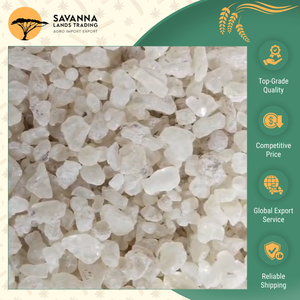 Experiencia Profunda en la Fabricación de Goma Damar Seca Natural de la Más Alta Calidad con 12 Meses de Vida Útil a un Precio de Mercado con Descuento - Product Image 6