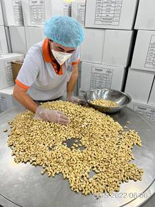 Noix de cajou crues biologiques AGRIKIM fiables, qualité supérieure du Vietnam, certifiées ISO 22000:2018, meilleur prix, haute qualité, 10 kg/20 kg Ms - Product Image 6