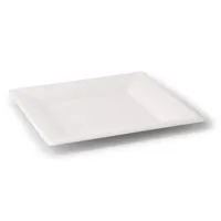 Boîtes carrées jetables écologiques compostables en canne à sucre blanches de 26x26 cm - 500 pièces/carton