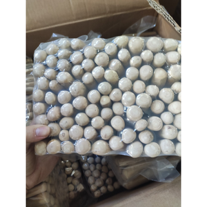 Bois naturel à mâcher pour chiens Bois d'olivier et bois de café disponibles pour les mâcheurs lourds à un prix compétitif de l'usine au Vietnam - Product Image 2