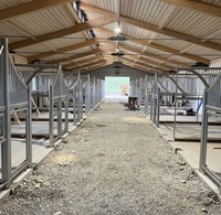 4m X 4m Seepoem Stable Durable Galvanisé Métal Bois Construction Bonne Ventilation Nouvel État Abri pour chevaux