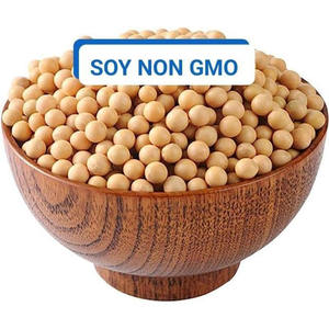 Approvisionnement en gros de soja jaune biologique en vrac de soja sans OGM de qualité alimentaire de qualité supérieure - Product Image 5