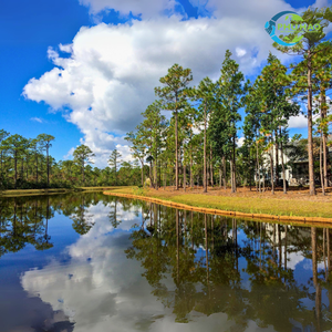 Top Product COIR <b>LOG</b> Eco Friendly Erosion Control Solutions: Coir <b>Logs</b> for Soil and Water Stabilization with High Quality - Product Image 5