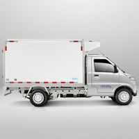 WuLing Cargo VAN électrique véhicule réfrigérateur stockage à froid Van réfrigérateur camion véhicule électrique conduite à droite voitures électriques
