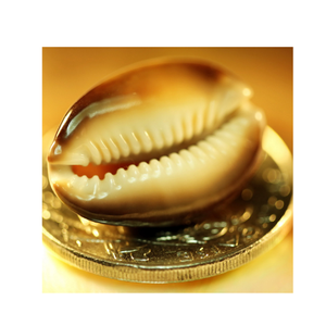 ตกแต่งศิลปะและ DIY ขายส่งโรงงานขายตรงคุณภาพสูงเปลือกหอยธรรมชาติหอยคาวรีเปลือกหอยหอยสังข์หอยทาก - Product Image 1