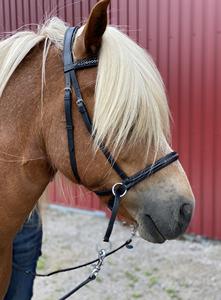 บังเหียนม้าหนังแท้ Rub International รุ่น 0786 ออกแบบเองได้ พร้อมบิตแบบ Snaffle สีและขนาดตามสั่ง - Product Image 2