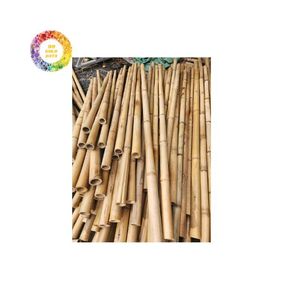 Poteaux de bambou droits de qualité supérieure Grands bâtons de bambou naturel du Vietnam pour la construction et la décoration - Product Image 5