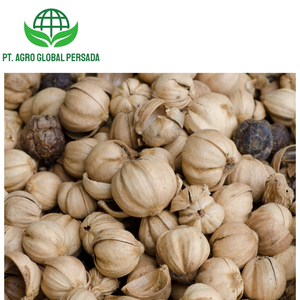 Cardamomo Blanco Orgánico Indonesio de Alta Calidad, Producto Agrícola Premium, Precios Competitivos, Proveedor Mayorista para Pedidos al por Mayor - Product Image 2