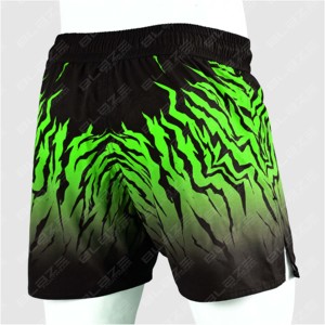 Pantalones Cortos de MMA para Hombre, Ropa de Entrenamiento para Gimnasio, Pantalones Cortos de Jiu Jitsu para Correr, Impresión Digital con Logotipo Personalizado, Pantalones Cortos para Hombre - Product Image 2