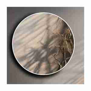 Grande demande Made In India Gym Mirror Home Decor Cadre en bois rond Exportateur de l'Inde de haute qualité - Product Image 6