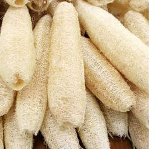 Long-Shaped Natural Loofah Sponge Eco-Friendly Luffa Body Scrubber for <b>Shower</b> Exfoliation & Kitchen Cleaning Premium Vietnam - Product Image 4