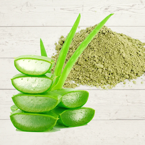 Polvo de aloe vera fresco natural de calidad seleccionada como materia prima para la producción de alimentos para especias y hierbas - Product Image 2