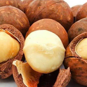 Noix de macadamia grillées de qualité supérieure avec coquille de noix croquantes OEM/ODM exportation en gros en vrac directe du Vietnam - Product Image 1