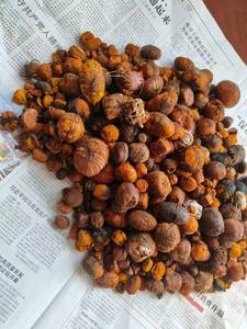 Cálculos biliares de buey de vaca a precio de fábrica suministrados en cantidad a granel para venta al por menor y comercio - Product Image 5